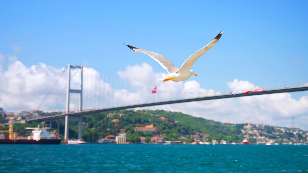 Bosphorus / Beyoğlu, black and white